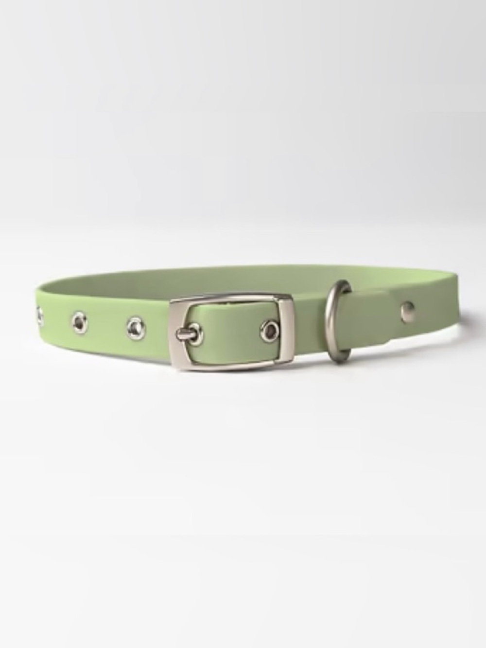 Diggs Dog Collar,Light Green - Small